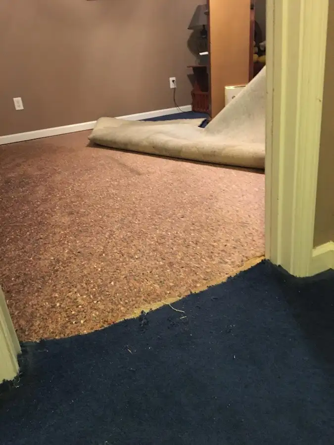 Carpet pad removal revealing water damage during Drying & Dehumidification in Alpine