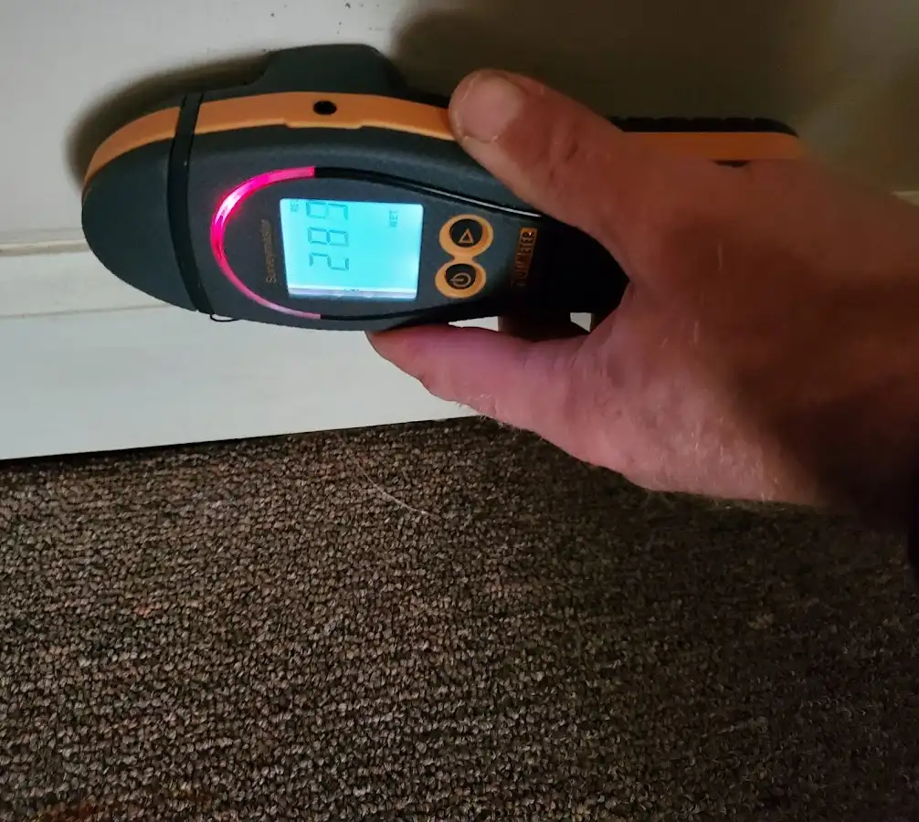 Moisture detection at baseboard during Mold Inspection & Testing in Alpine